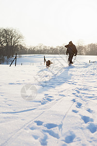 雪地上行走的男人和狗图片