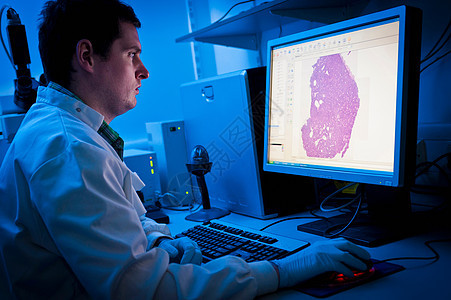 在实验室使用计算机的科学家图片