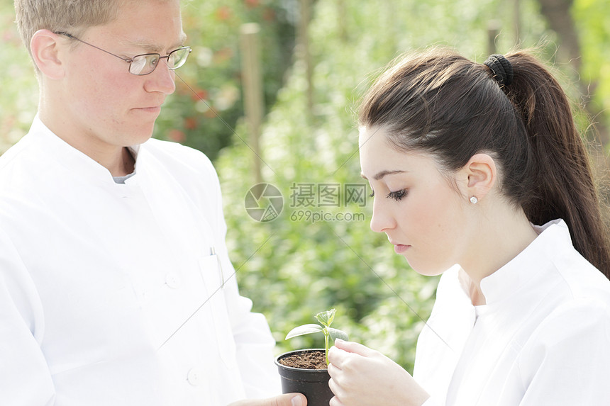 科学家检查室外植物图片