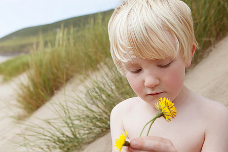 男孩在沙丘上拿着鲜花图片