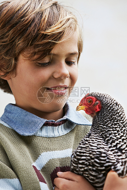紧抱着鸡的男孩图片