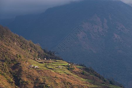 山坡田野风光图片