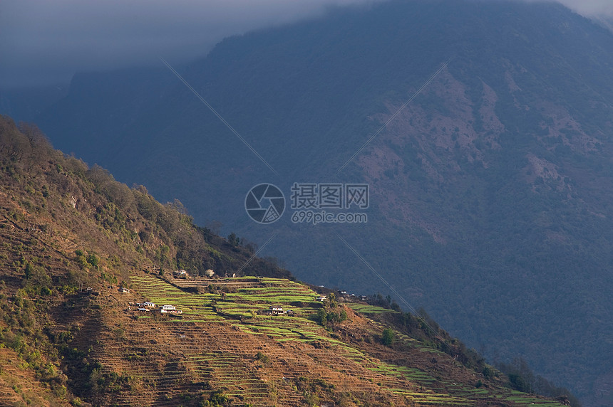 山坡田野风光图片