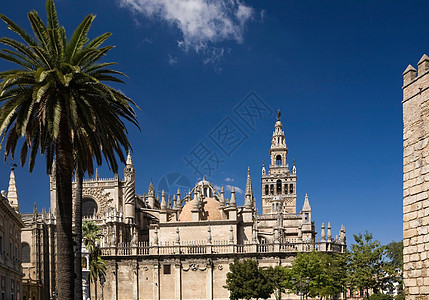 西班牙塞维利亚哥特大教堂图片