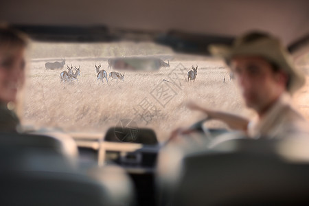 通过车窗看野生动物的人图片