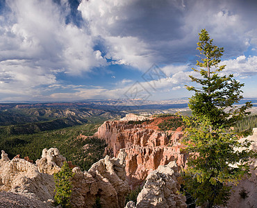 美国犹他州的布莱斯峡谷图片