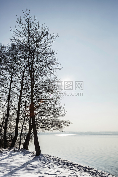 德国巴伐利州冬日雪景风光图片