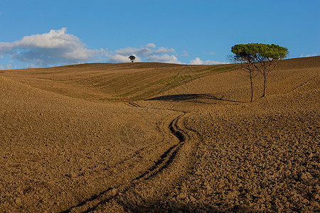 意大利托斯卡纳农村地貌图片