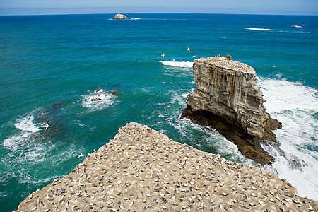 海岸线岩石航拍图片