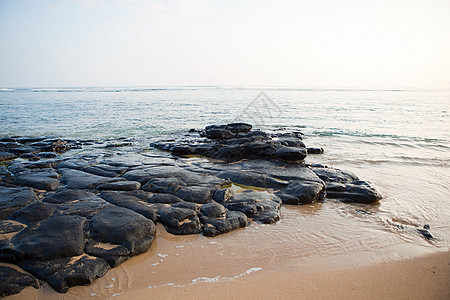 夏威夷海滩上的岩石图片