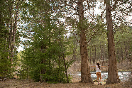 女人站在森林里图片