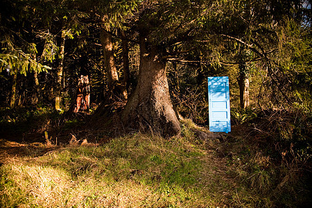 森林中的蓝漆色门图片