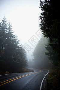 上雾的公路图片