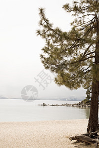美国加利福尼亚州塔霍湖图片