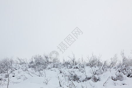 雪中的阿尔卑斯山图片