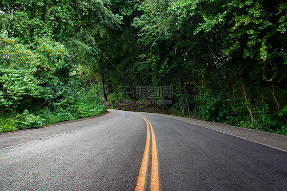 森林中弯曲道路图片