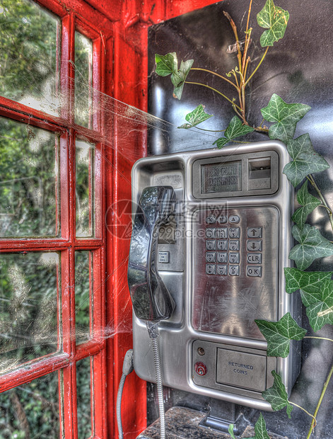 长满藤叶的电话亭图片