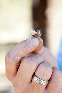 美国科罗拉多州一名男子手持仿蝇钓鱼图片