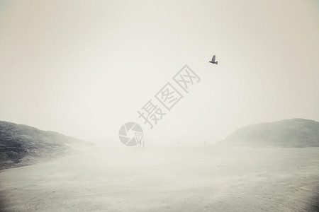 加拿大温哥华岛托菲诺雾沙滩上的鸟和人图片