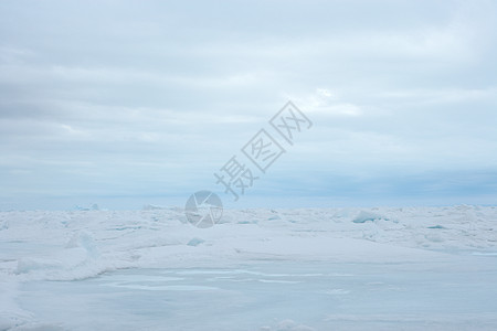 格陵兰岛外的冰流和川图片