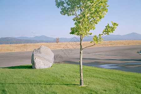 在郊区路边草地上的岩石图片