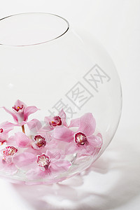 玻璃碗中的粉花图片
