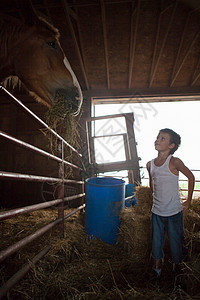在谷仓里喂马的男孩图片