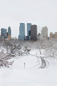 下雪城市公园道路图片