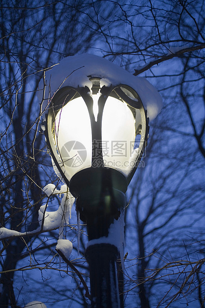 公园中铺满白雪的街道灯光图片