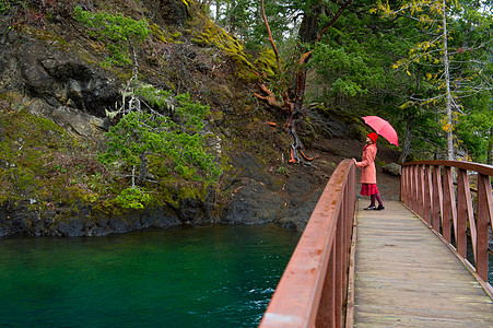木桥上撑着雨伞看风景的女性图片