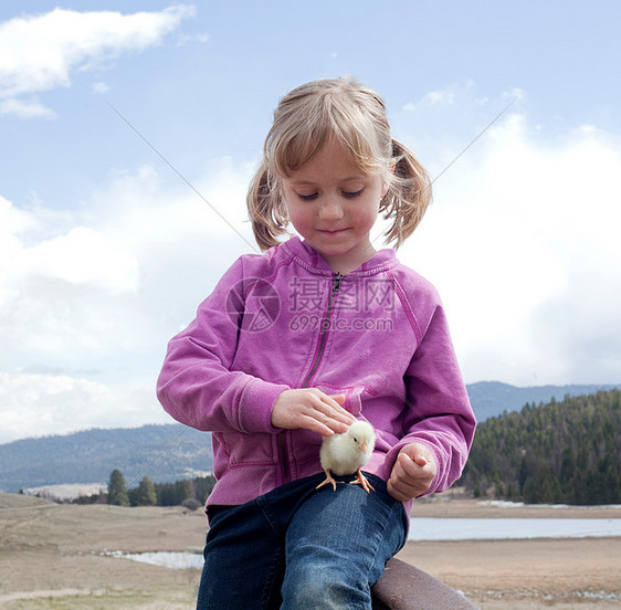 年轻女孩坐着抚摸小鸡图片