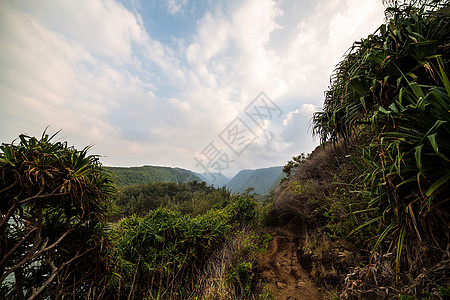 美国夏威夷岛波洛卢谷图片