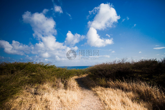 海岸边狭窄的通道图片