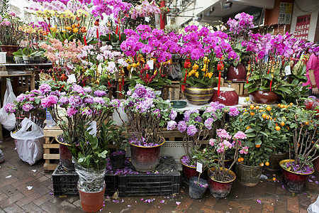 香港鲜花市场图片