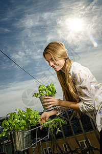 青年妇女在工厂楼顶种植绿植图片