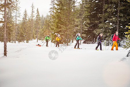 森林里的滑雪爱好者图片