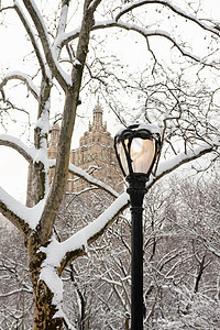 美国纽约市曼哈顿中央公园冬季景象图片