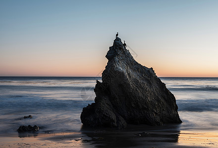 美国加利福尼亚州马里布的海滩岩石和鸟图片