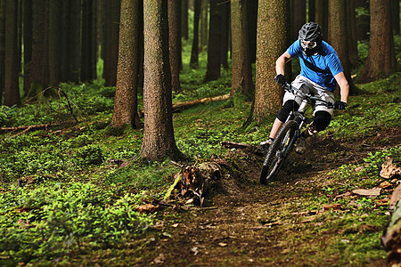 骑自行车穿过树林图片