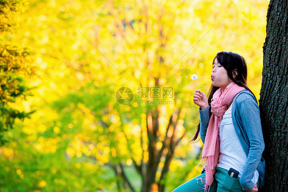 年轻女孩在公园吹蒲公英    图片