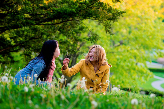 两名年轻女子在公园吹蒲公英图片