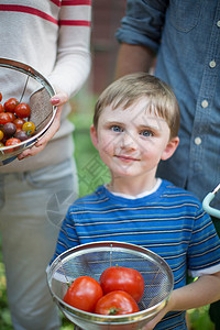 男孩拿着有西红柿的滤器图片