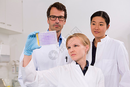 一组科学家分析微型板与水晶紫花溶液图片