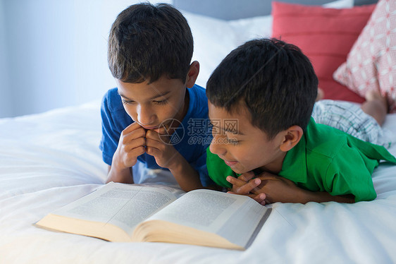 在床上认真读书的两兄弟图片