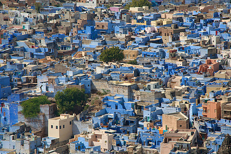 印度拉贾斯坦邦的蓝色布拉曼村图片