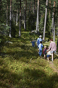 家庭在森林中行走图片