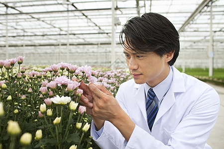 男人看着在温室生长的植物图片