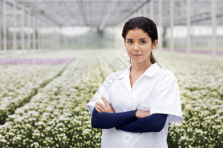 科学家站在一排植物的前面图片