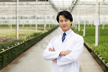 科学家站在一排植物的前面图片