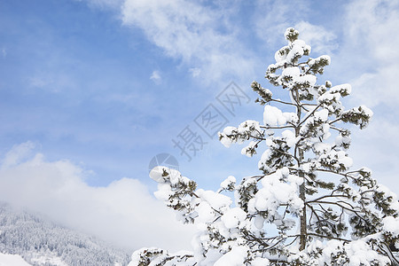 雪景图片